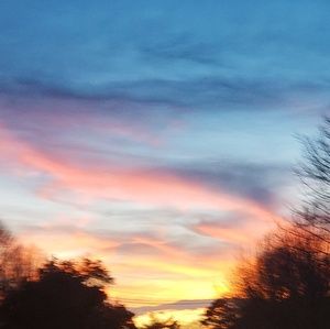 Meet your Posher, Robin